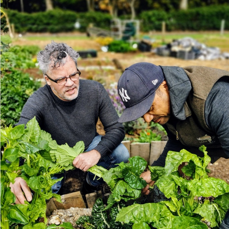 Homeland | The Food Embassy for Aotearoa & The Pacific